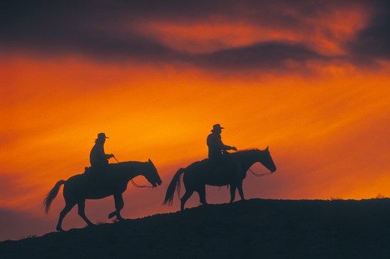 sunset_cowboys