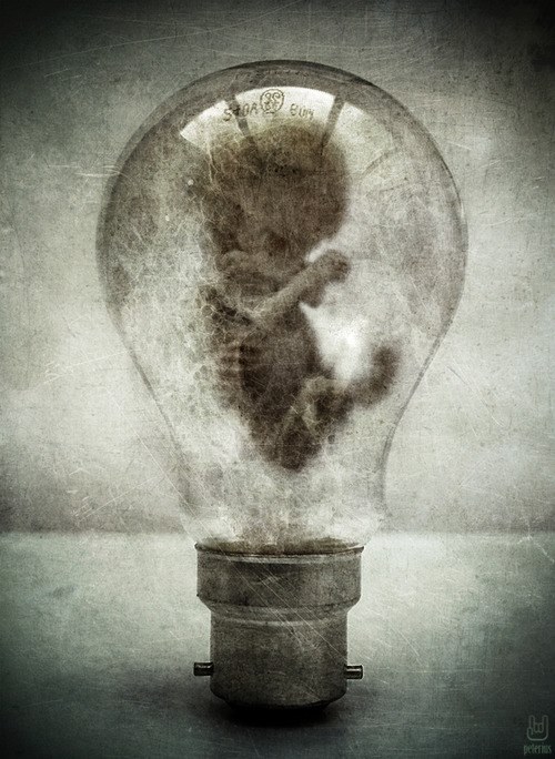 10330500_614368212011809_2451937818130818917_n (1)