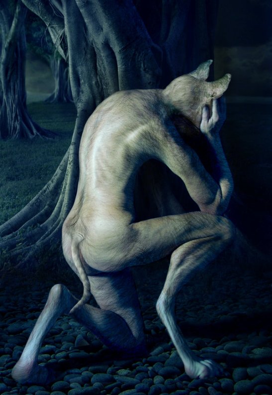 Transformation_by_Onanymous