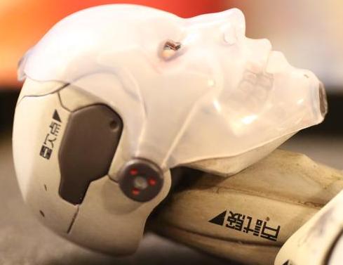 Reencarnação Sintética (1)