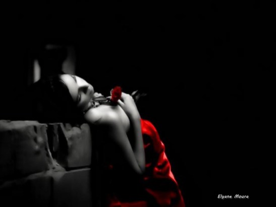 um bocado de saudade