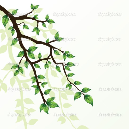 depositphotos_2944869-Branch-of-tree