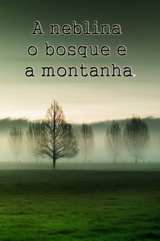 A neblina o bosque e a montanha
