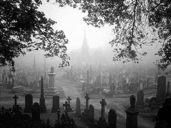 38a795f703_8218553_med