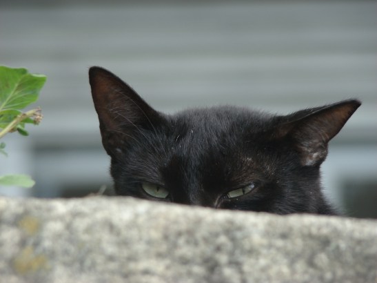 8412928184_20e4ec9245_b