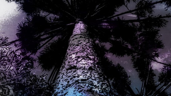 homens-arvore-vinagrette